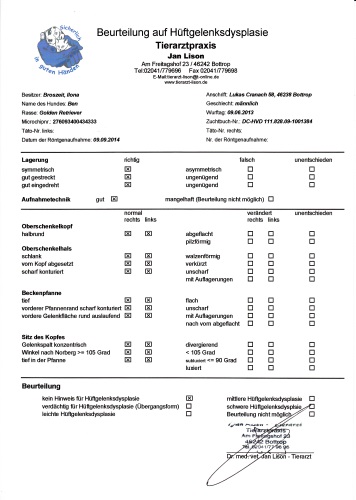 Beurteilung HD Tierarzt s