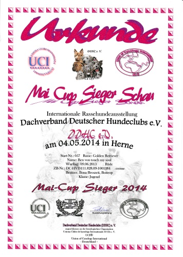 Urkunde Mai Cup Sieger Schow 2014 klein