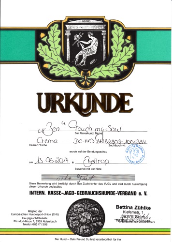 Urkunde Tag des Undes 2014 klein