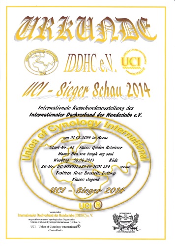 Urkunde UCI-Sieger  2014 klein