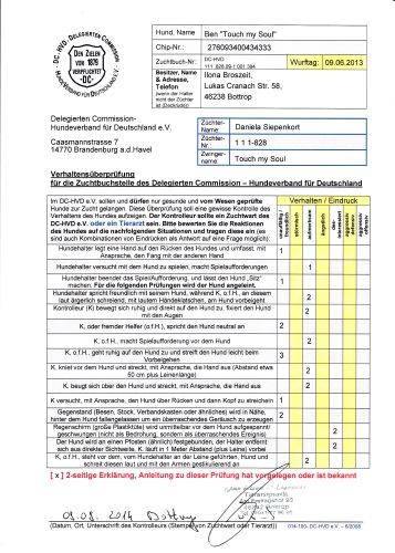 Verhaltensüberprüfung s