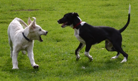 100s