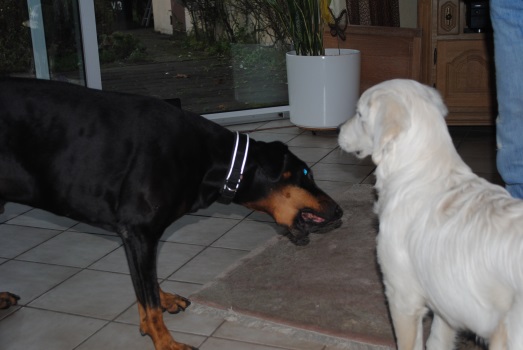2013.11.16 DSC_0015