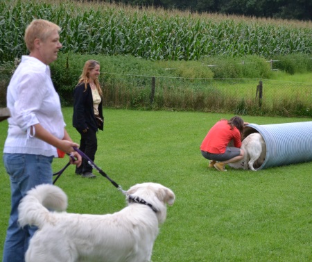 031a1h