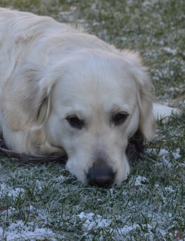 DSC_0013 DSC_0013