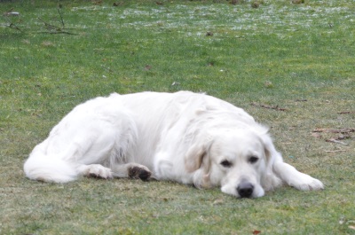DSC_0029 DSC_0029