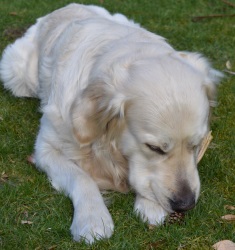 DSC_0032 DSC_0032