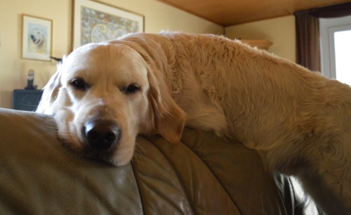 DSC_0075 DSC_0075