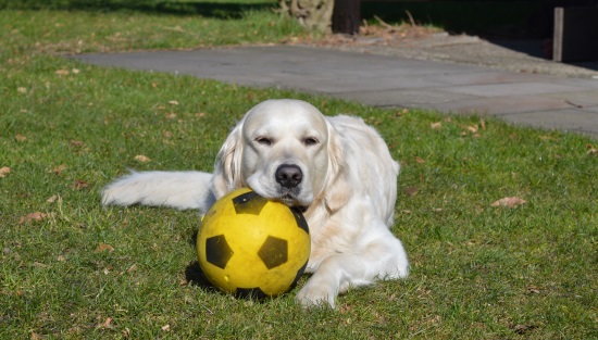 DSC_0112 DSC_0112