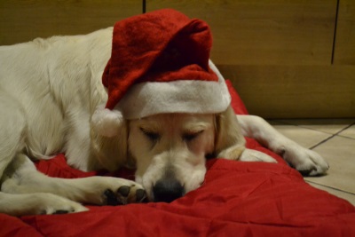 Weihnachten 2
